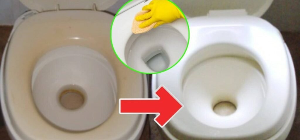 how-to-restore-whiteness-to-a-yellowed-toilet-seat-a-few-steps-for-a